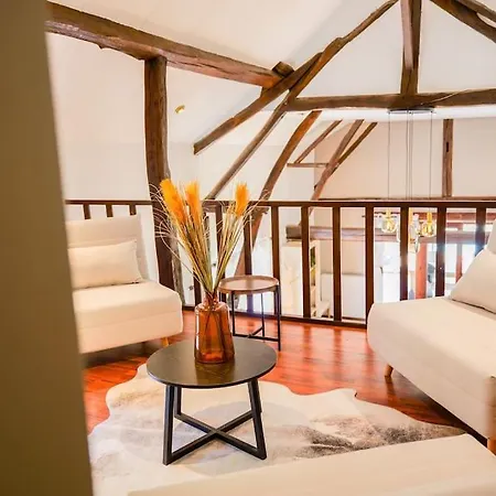 Villa Piscine Jacuzzi Etang ,la Casa Del Cookie 2