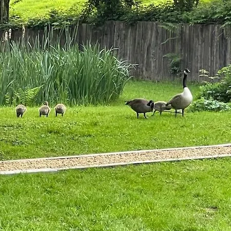 Piscine Jacuzzi Etang ,la Casa Del Cookie 2